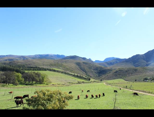 118HA FARM FOR SALE IN GREYTON
